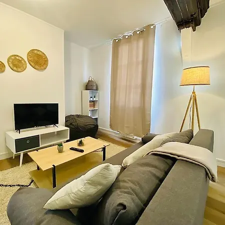 Aux Pieds Du Vieux-mans : Confortable T2 Cocooning Apartment Le Mans